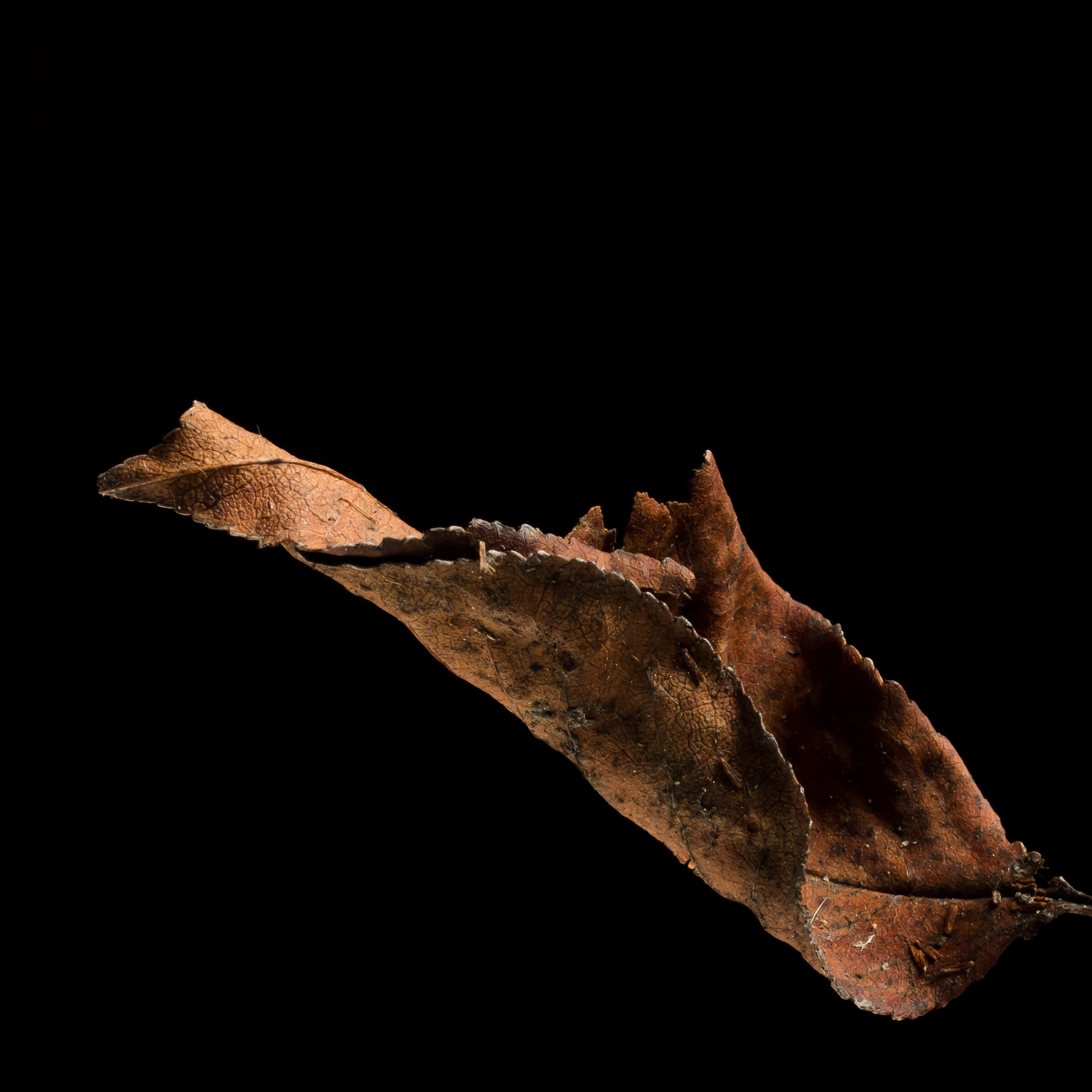 Marco Theis Fotografie Eging am See